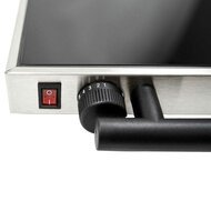 Encaustic Art Electrische Hotplate 