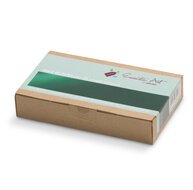 Encaustic Art wax - (07) groen doosje 16 st.